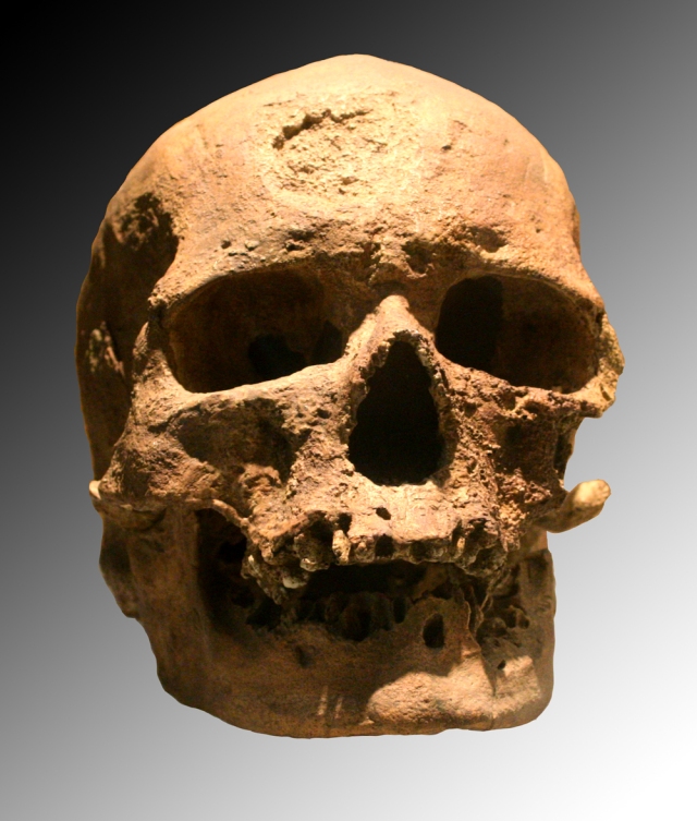 SPIRITUALITY SCIENCE - THE STATUS OF MAN: THE CRO_MAGNON MAN IS DESCRIBED AS EARLY MAN AND HIS SKULL BONES COULD BE EASILY DISTINGUISHED FROM THOSE OF MODERN MAN.