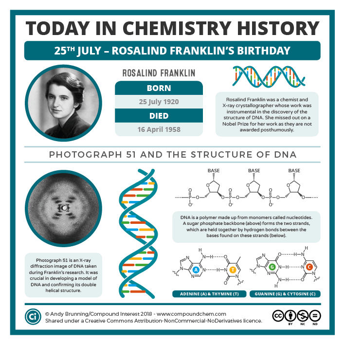 Discovery of Chemical Structure of DNA – FEBRUARY 28, 1953 – The ...